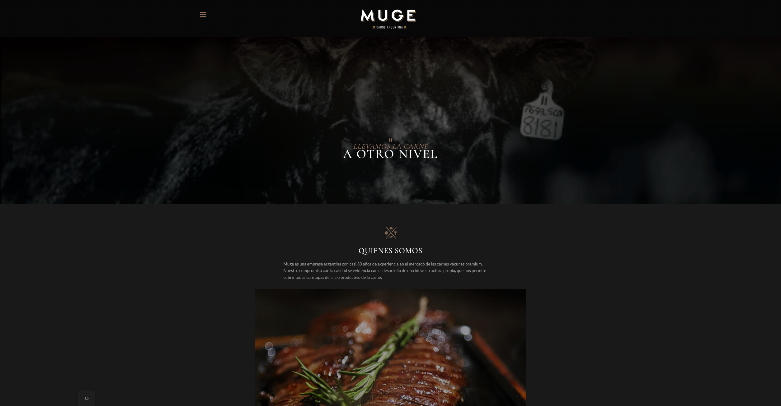 mugedesk